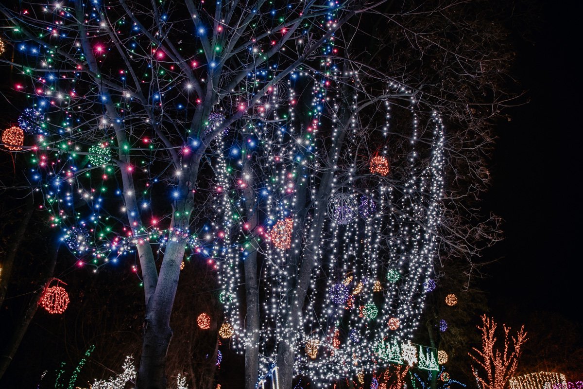 Как будто, даже деревья радуются Как будто, даже деревья радуются