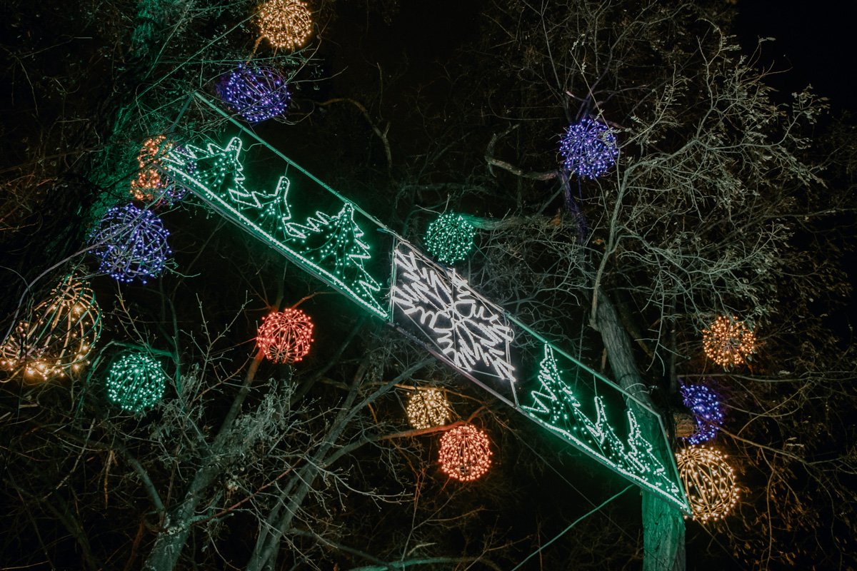 Елки уже подготовили Елки уже подготовили