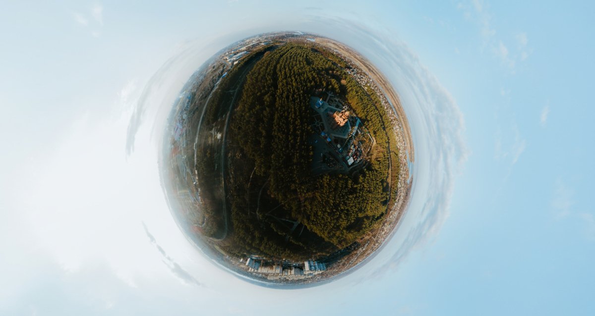 Удивительно, что мы видим леса и больше не удивляемся им Удивительно, что мы видим леса и больше не удивляемся им