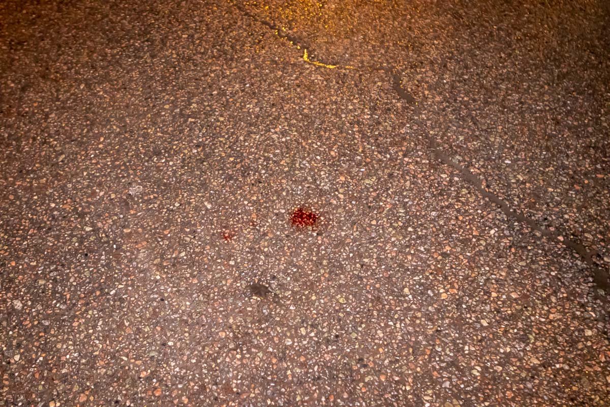 На место вызвали следователя по ДТП