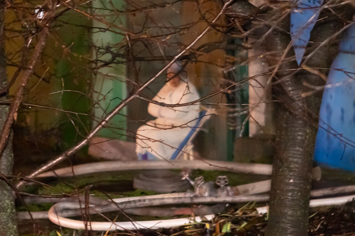 Соседи вывели из горящего дома 83-летнюю женщину Соседи вывели из горящего дома 83-летнюю женщину