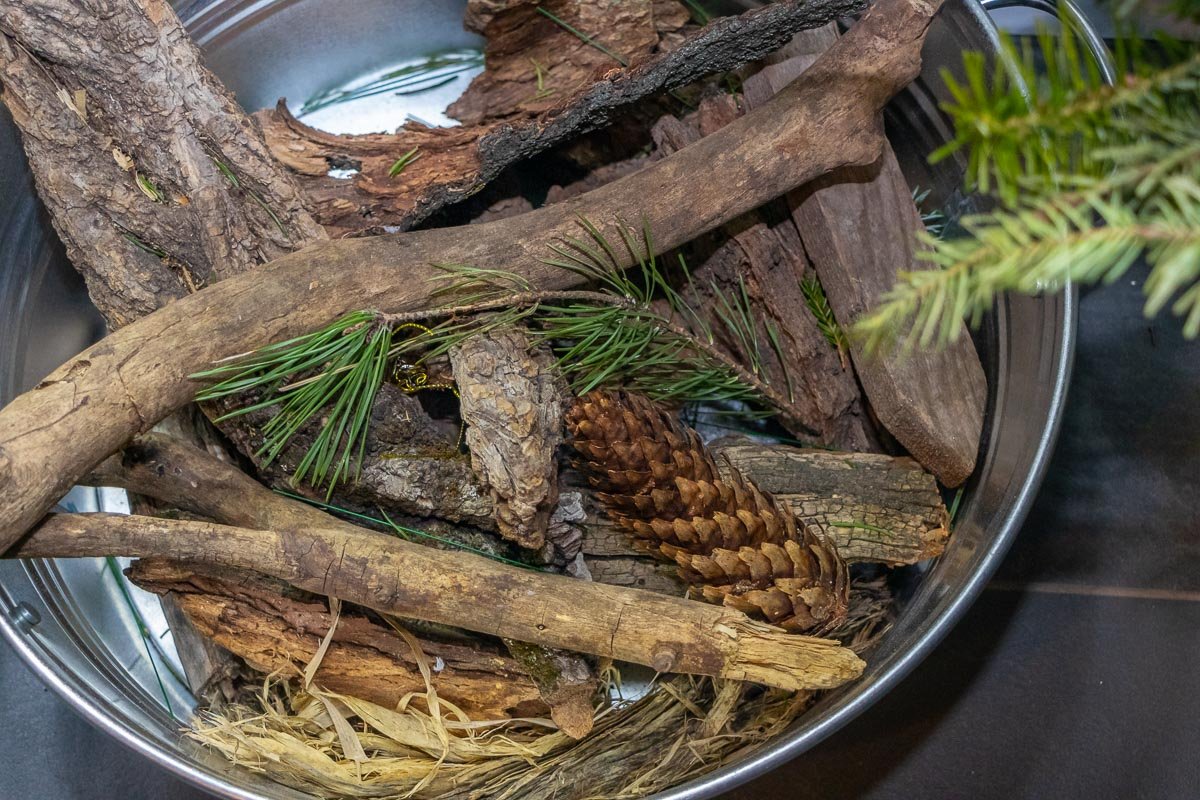 Лес прямо в городе Лес прямо в городе