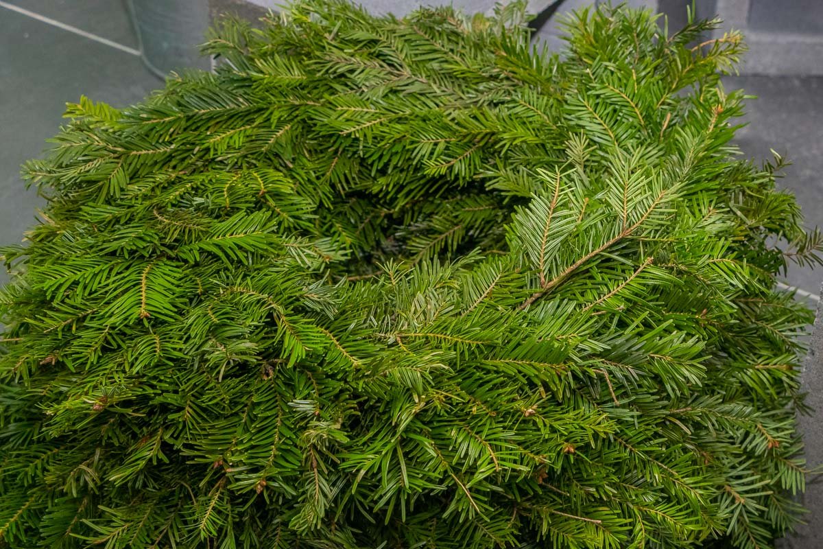 Чувствуете запах? Чувствуете запах?