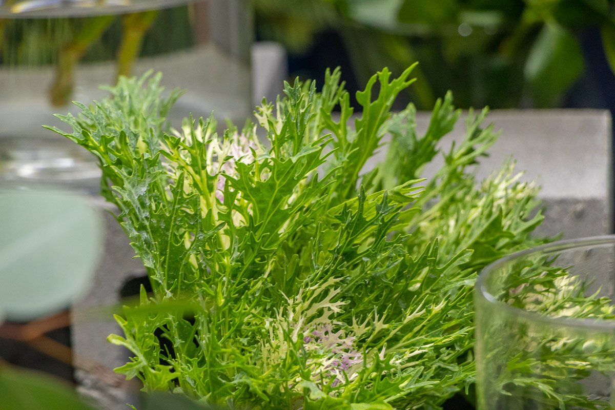 Почувствуйте единение с природой Почувствуйте единение с природой