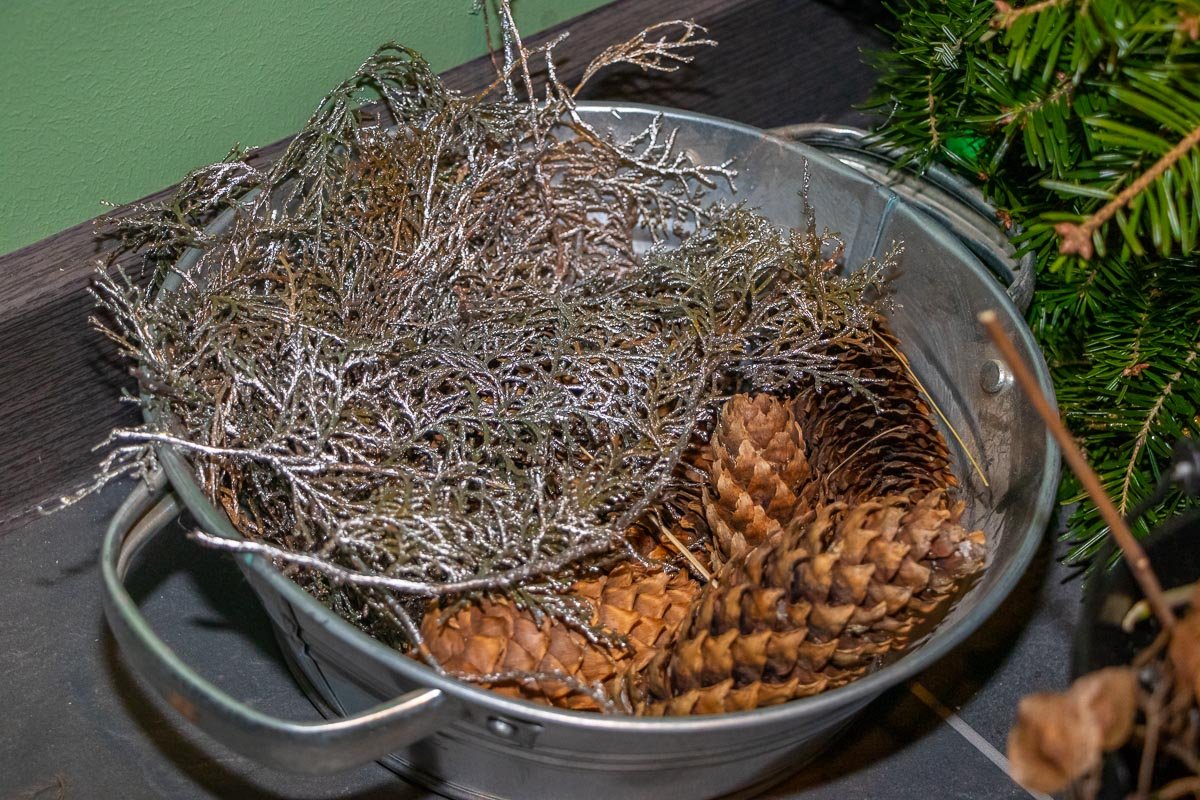 Лес ерунды не сделает Лес ерунды не сделает