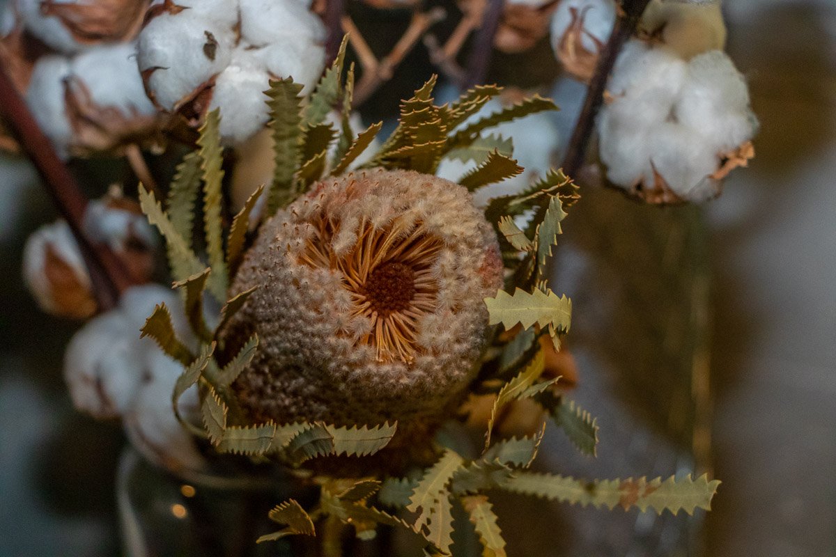 Новый год - это не только елки Новый год - это не только елки