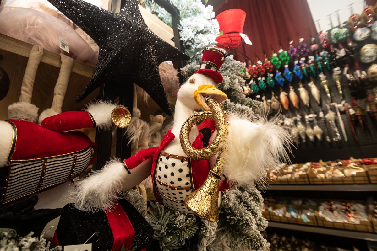 Время праздника! Время праздника!