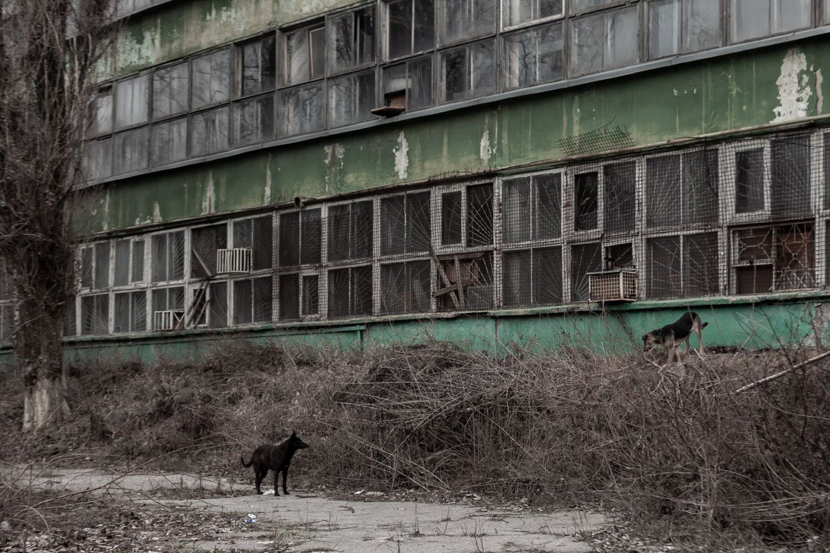 В 2011 году завод возобновил производственный процесс В 2011 году завод возобновил производственный процесс