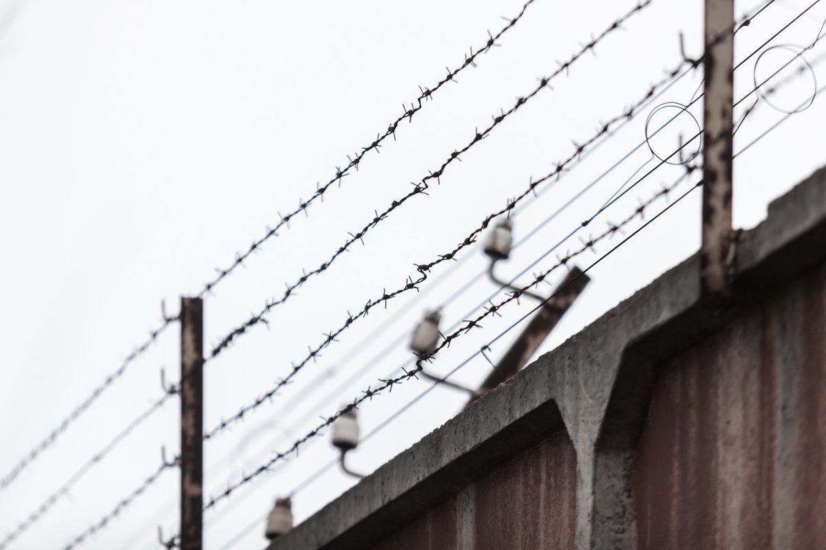 Фото: Дмитрий Федоров Фото: Дмитрий Федоров