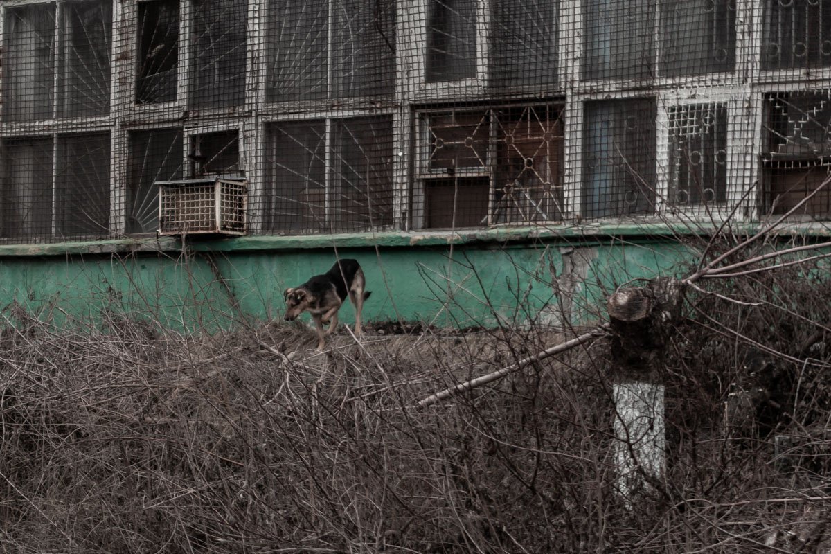 Стены помнят все Стены помнят все