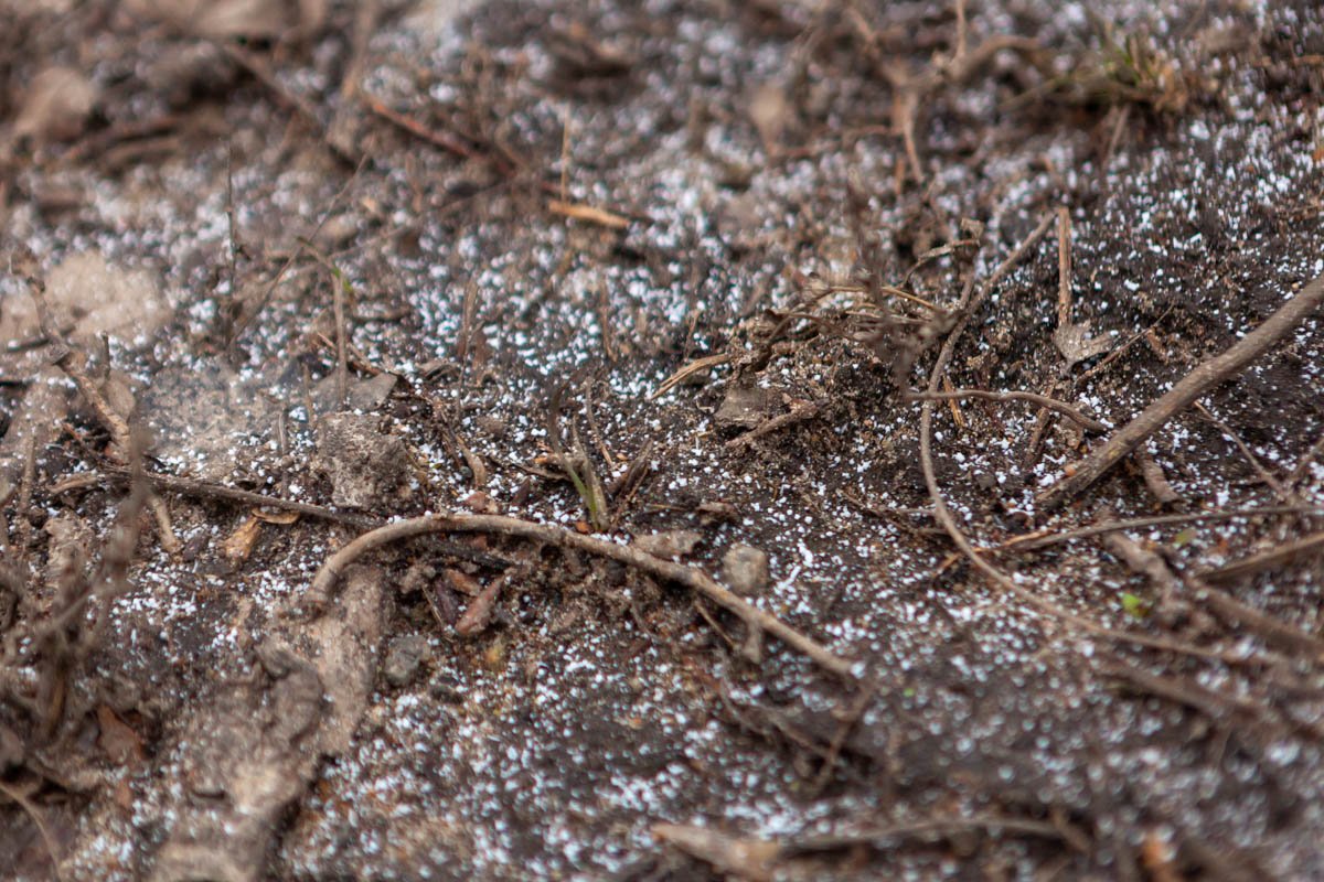 Ажурная снежная россыпь 