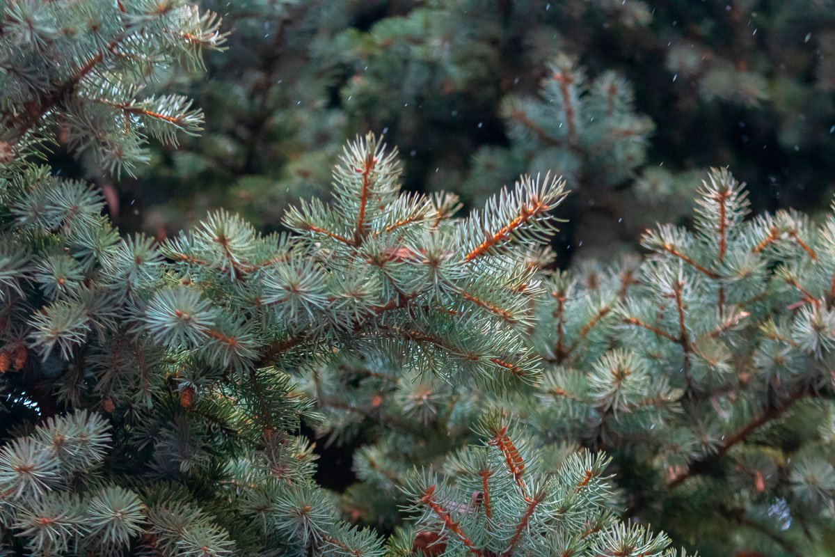 Замечайте красоту вокруг