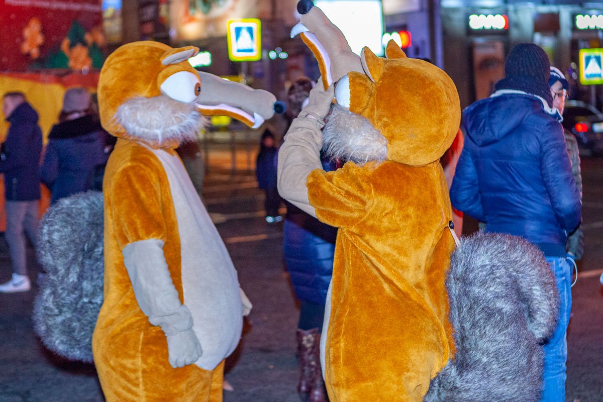 В ожидании желудей В ожидании желудей