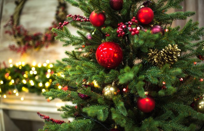 Новый год в парке Лазаря Глобы