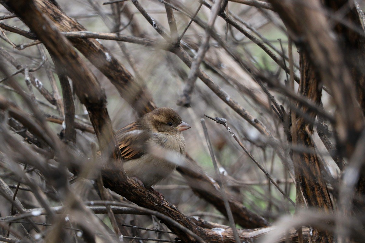 И разглядывают вас И разглядывают вас