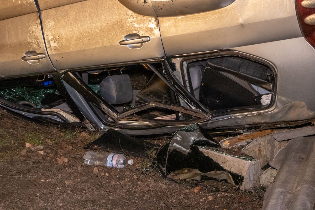 Водитель ушел от столкновения с собакой