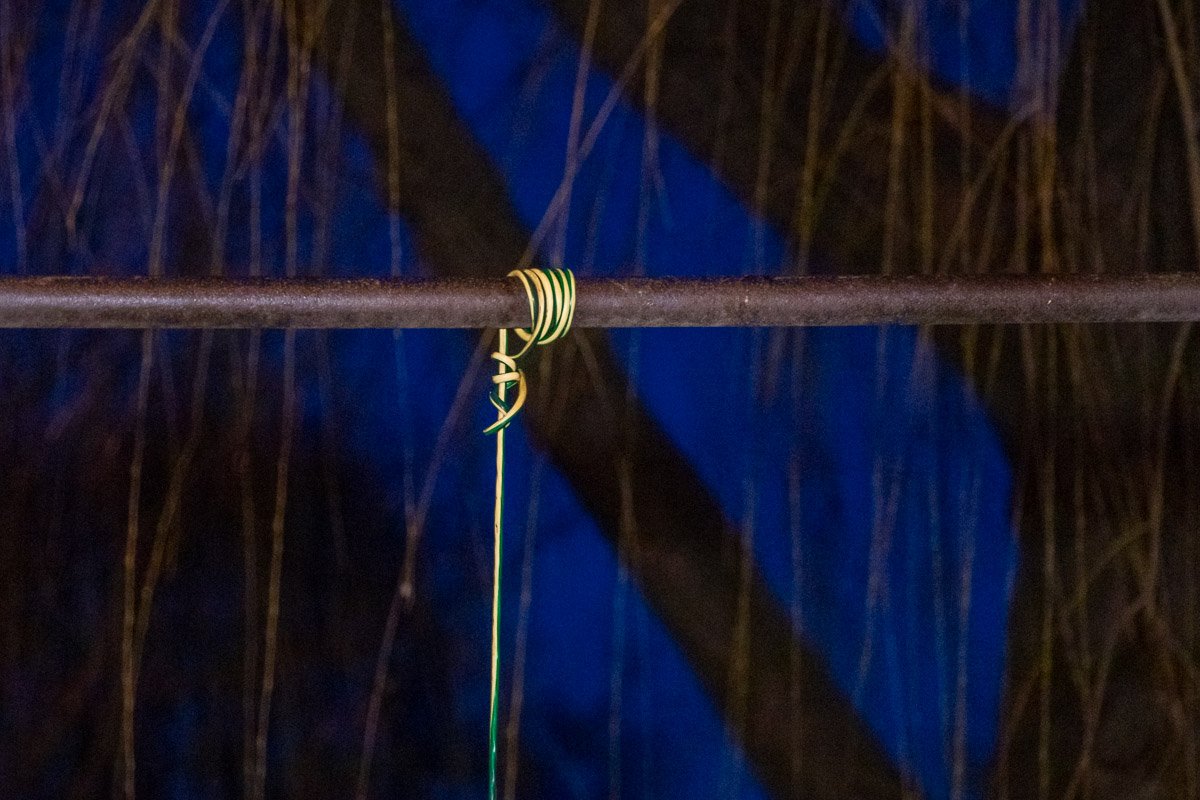 Личность практически сразу установили Личность практически сразу установили