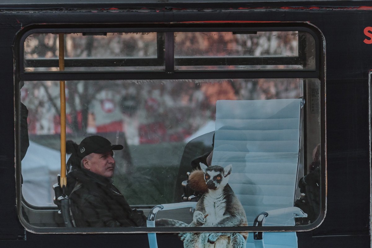 Ну вы поняли, да? Ну вы поняли, да?