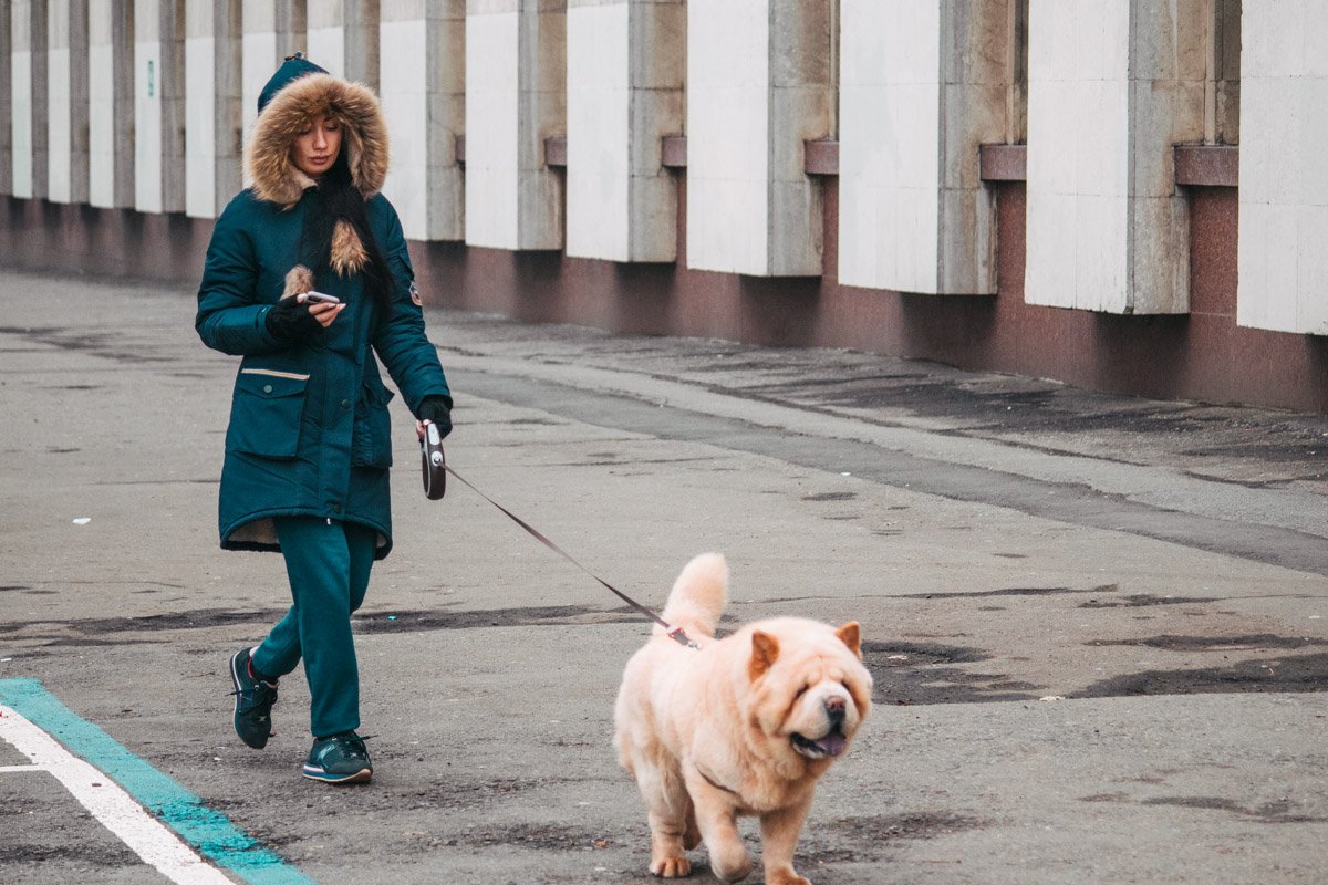 Мишка в поисках зимы Мишка в поисках зимы