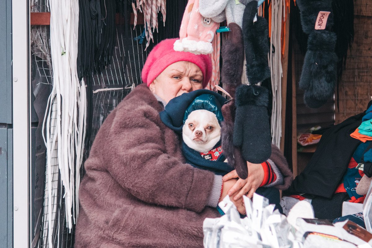 Выражение лица собаки отображает настроение жителей города после праздников Выражение лица собаки отображает настроение жителей города после праздников