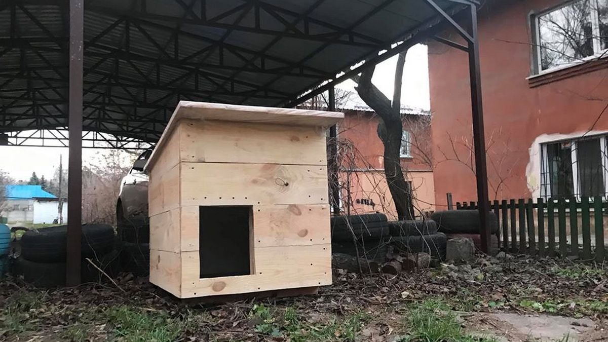 Утепленная будочка готова Утепленная будочка готова