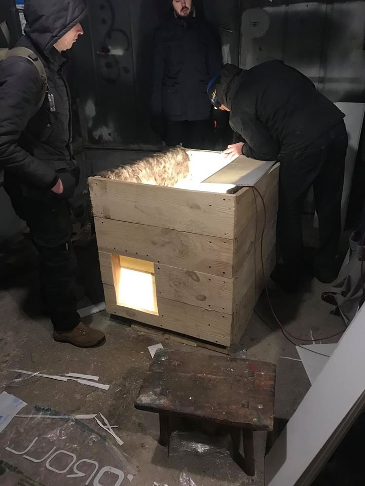 Ребята планируют подарить дом всем бездомным животным Ребята планируют подарить дом всем бездомным животным