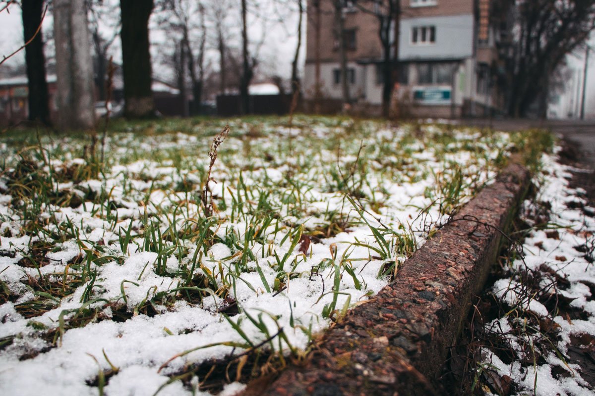 Из-за банки кофейной халвы Из-за банки кофейной халвы