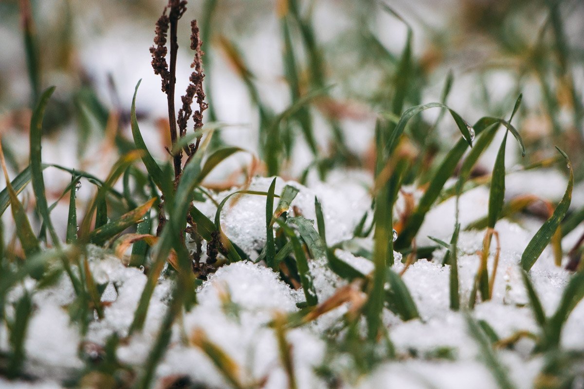 Производит осаду прилавка грудой свертков навьюченный люд: Производит осаду прилавка грудой свертков навьюченный люд: