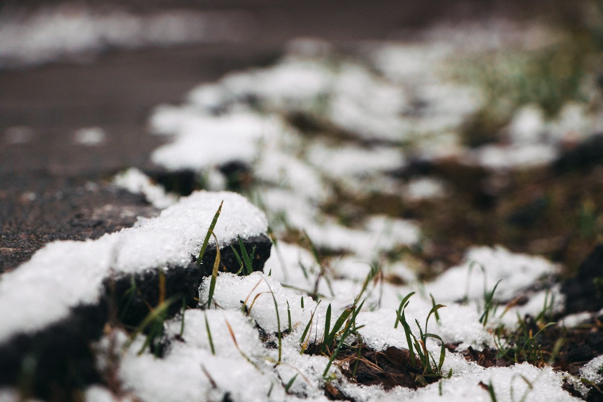 каждый сам себе царь и верблюд. каждый сам себе царь и верблюд.