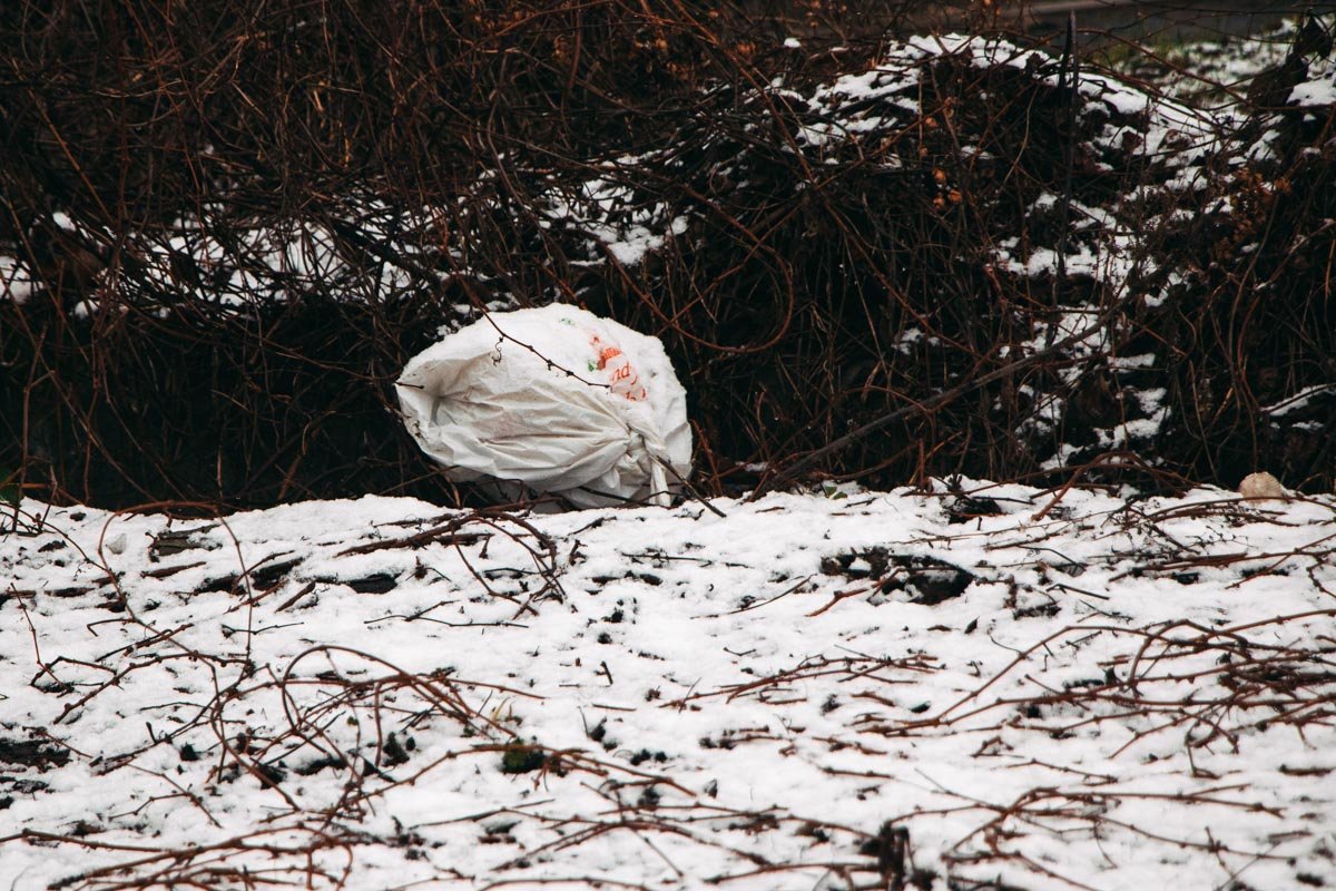 Хаос лиц, и не видно тропы в Вифлеем из-за снежной крупы. Хаос лиц, и не видно тропы в Вифлеем из-за снежной крупы.