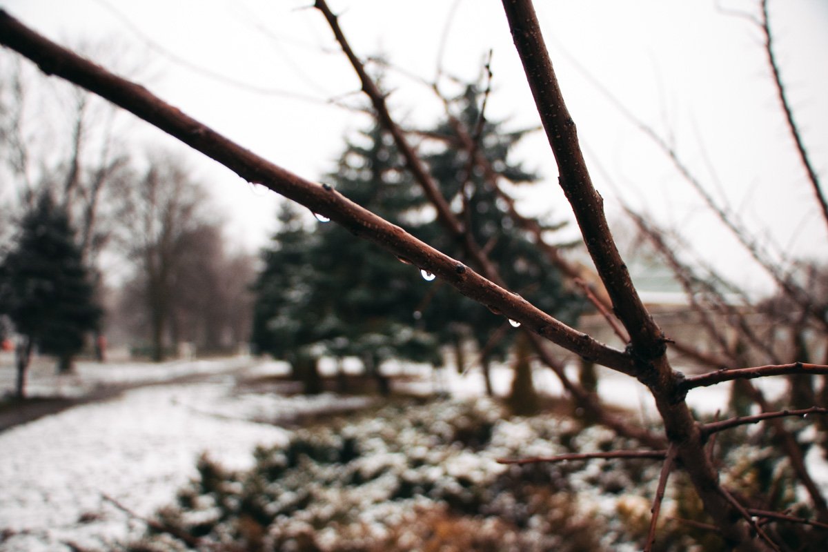 Постоянство такого родства — основной механизм Рождества. Постоянство такого родства — основной механизм Рождества.