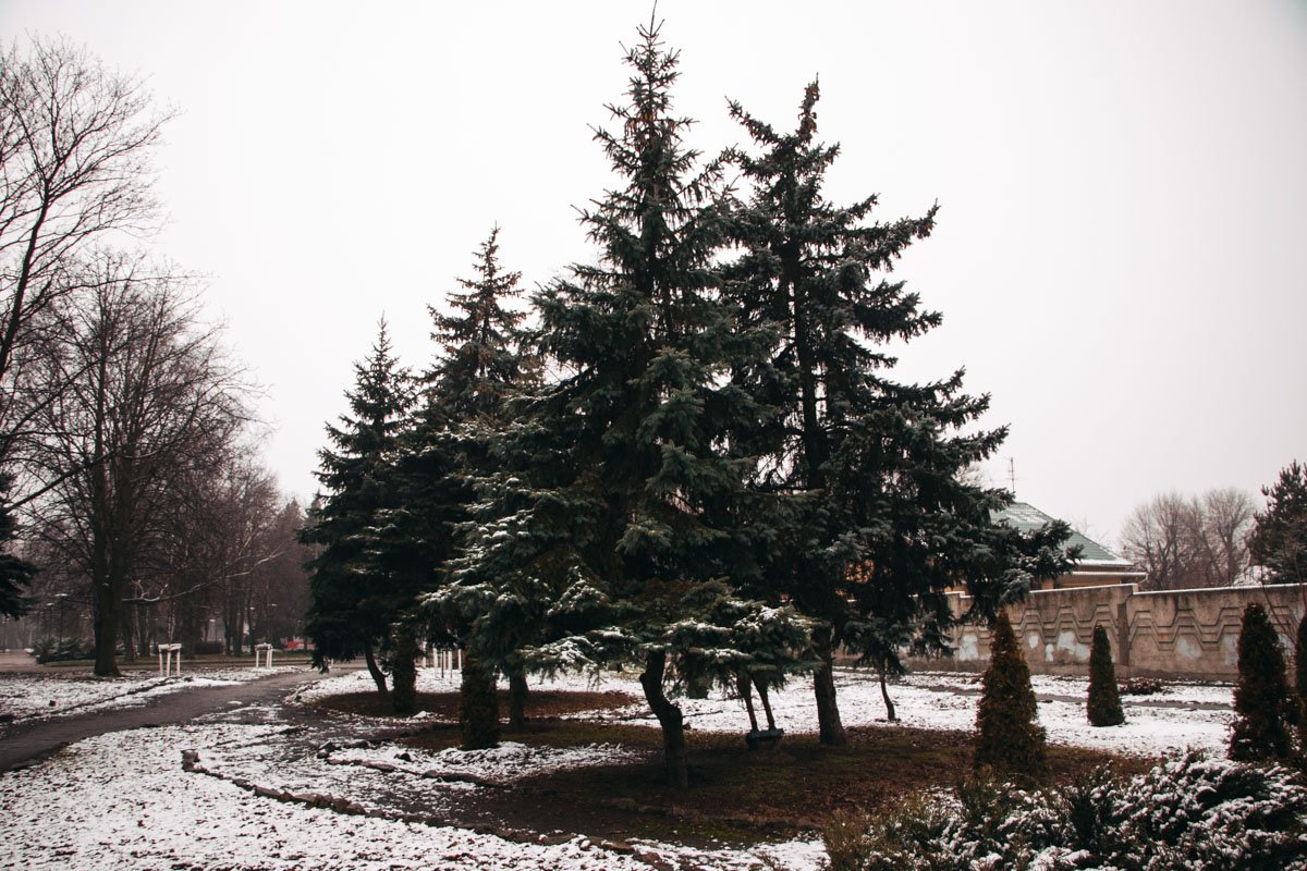 То и празднуют нынче везде, что Его приближенье, сдвигая То и празднуют нынче везде, что Его приближенье, сдвигая