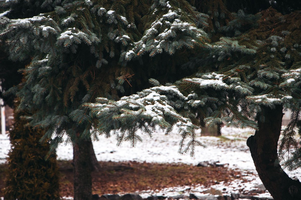 все столы. Не потребность в звезде пусть еще, но уж воля благая все столы. Не потребность в звезде пусть еще, но уж воля благая