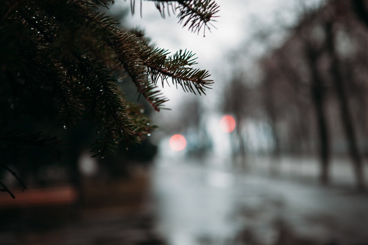 Не потеряй веру в тумане, Да и себя не потеряй! Не потеряй веру в тумане, Да и себя не потеряй!