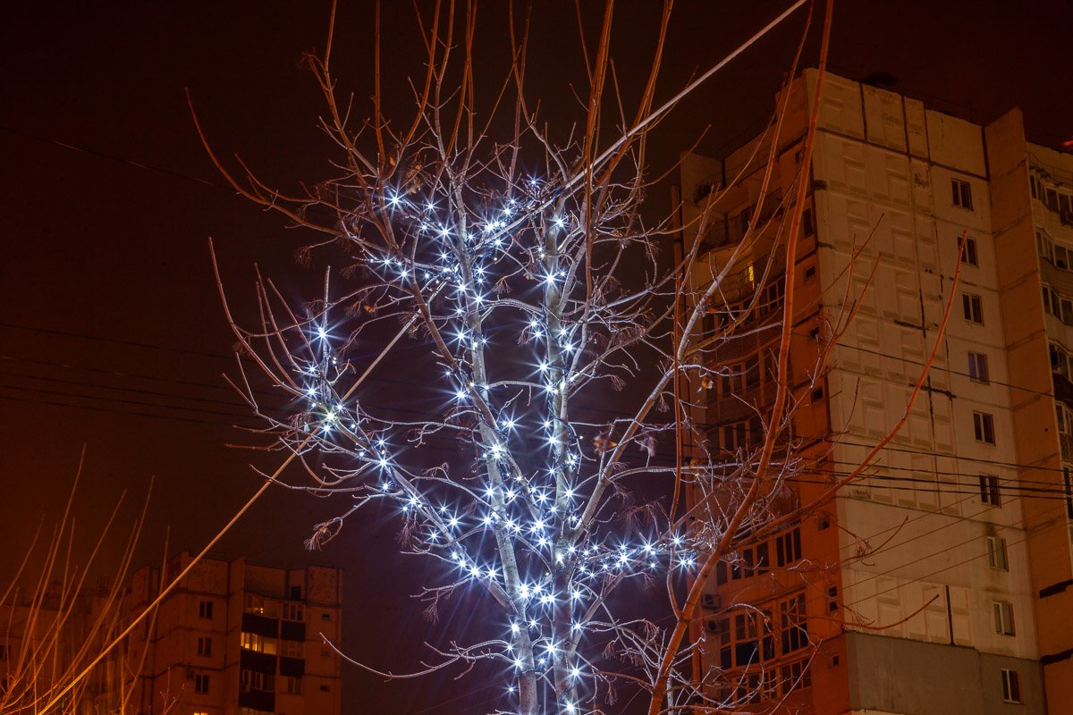 Ярко светятся деревья Ярко светятся деревья