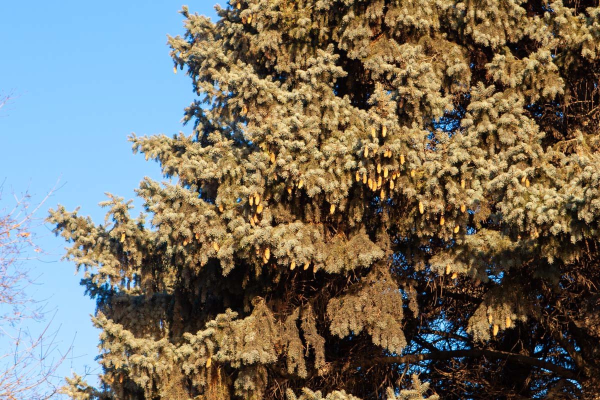 Не знаем, как вы, но мы соскучились по снегу Не знаем, как вы, но мы соскучились по снегу