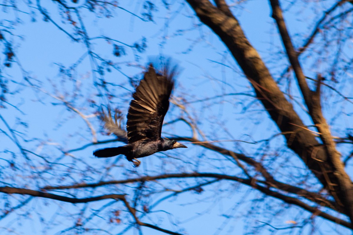 Надзиратель Надзиратель
