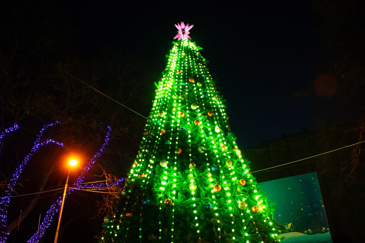 Елка будет куда круче той, что стоит в парке Глобы