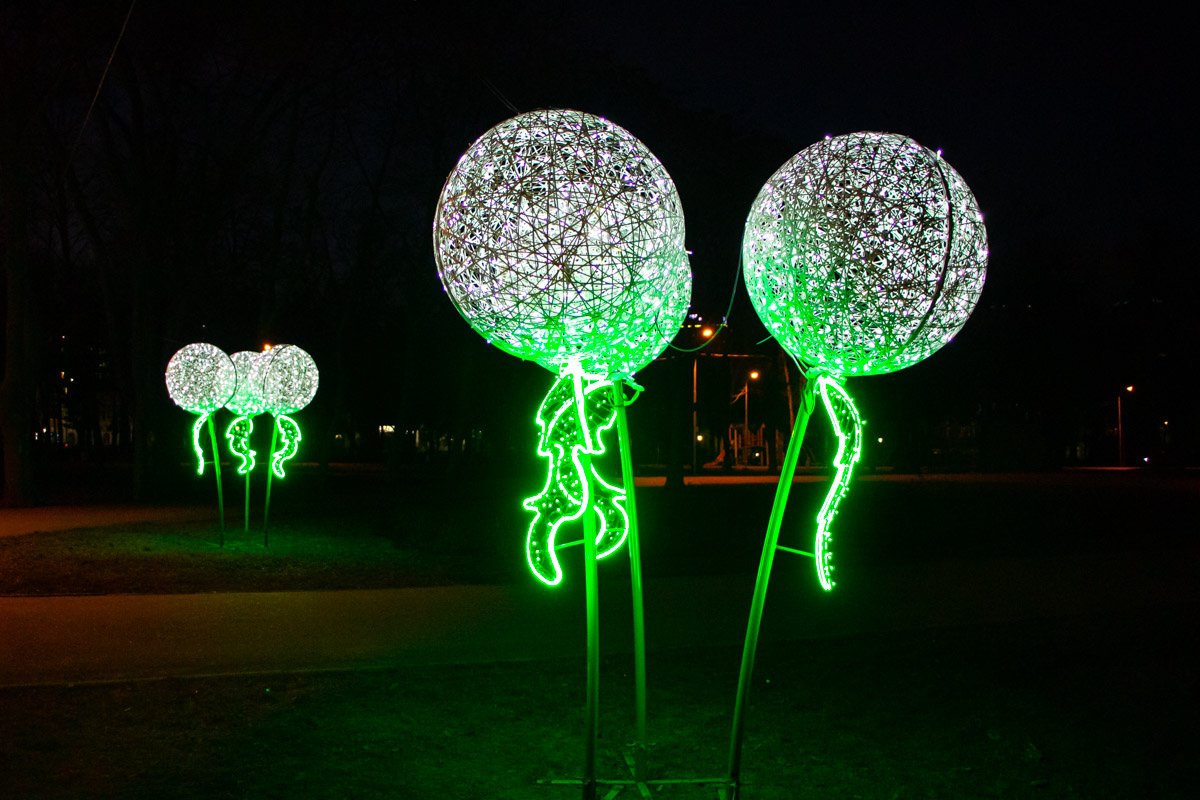 Космические одуванчики