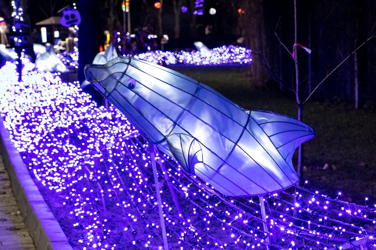 Не только новогодняя тематика