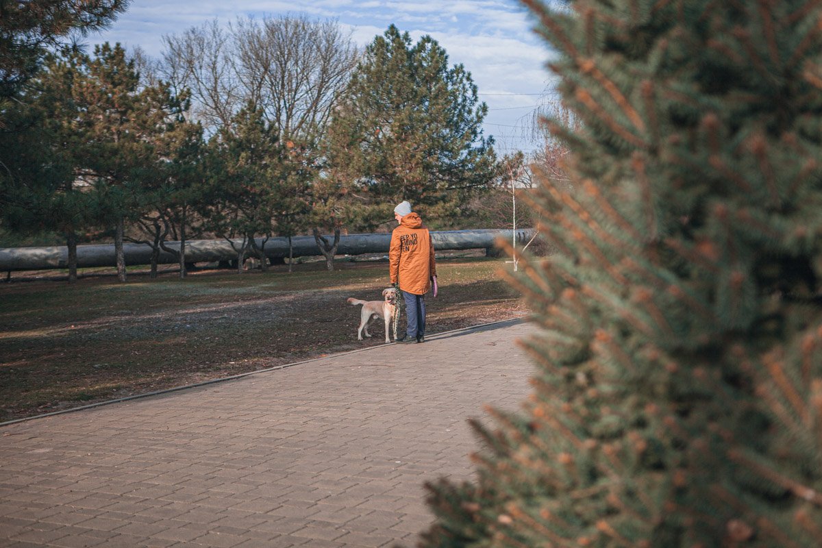 Ведь молчание без сожалений
