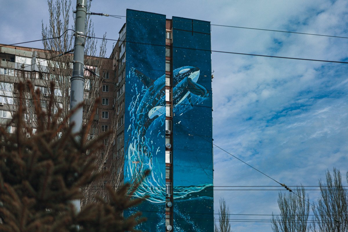 (с) Владимир Ток