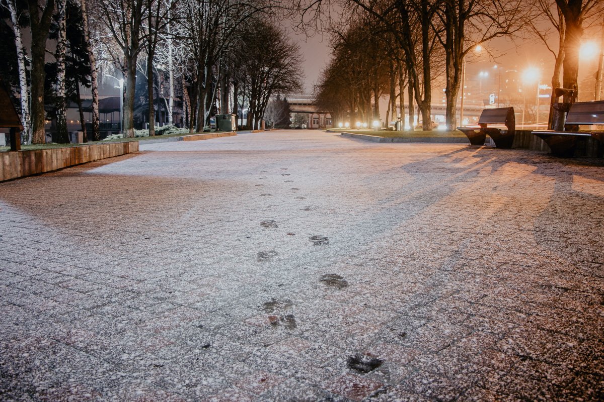 Идеальная погода для прогулки Идеальная погода для прогулки