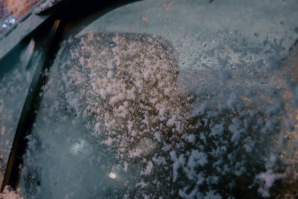 Не иней, но тоже очень красиво Не иней, но тоже очень красиво