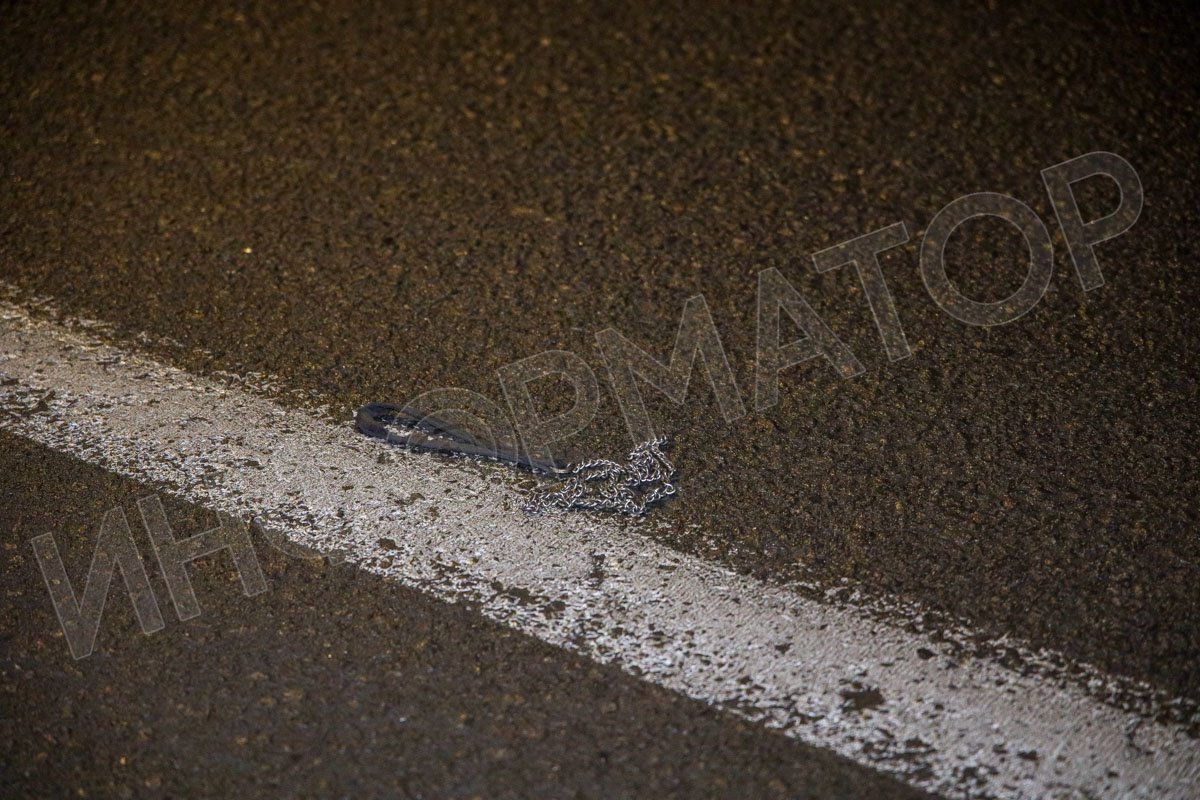 Предварительно, ребенок побежал вслед за собакой, которая сорвалась с поводка Предварительно, ребенок побежал вслед за собакой, которая сорвалась с поводка