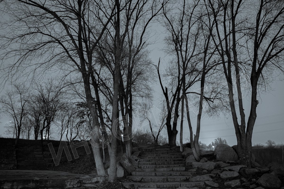 Одинокие тропинки