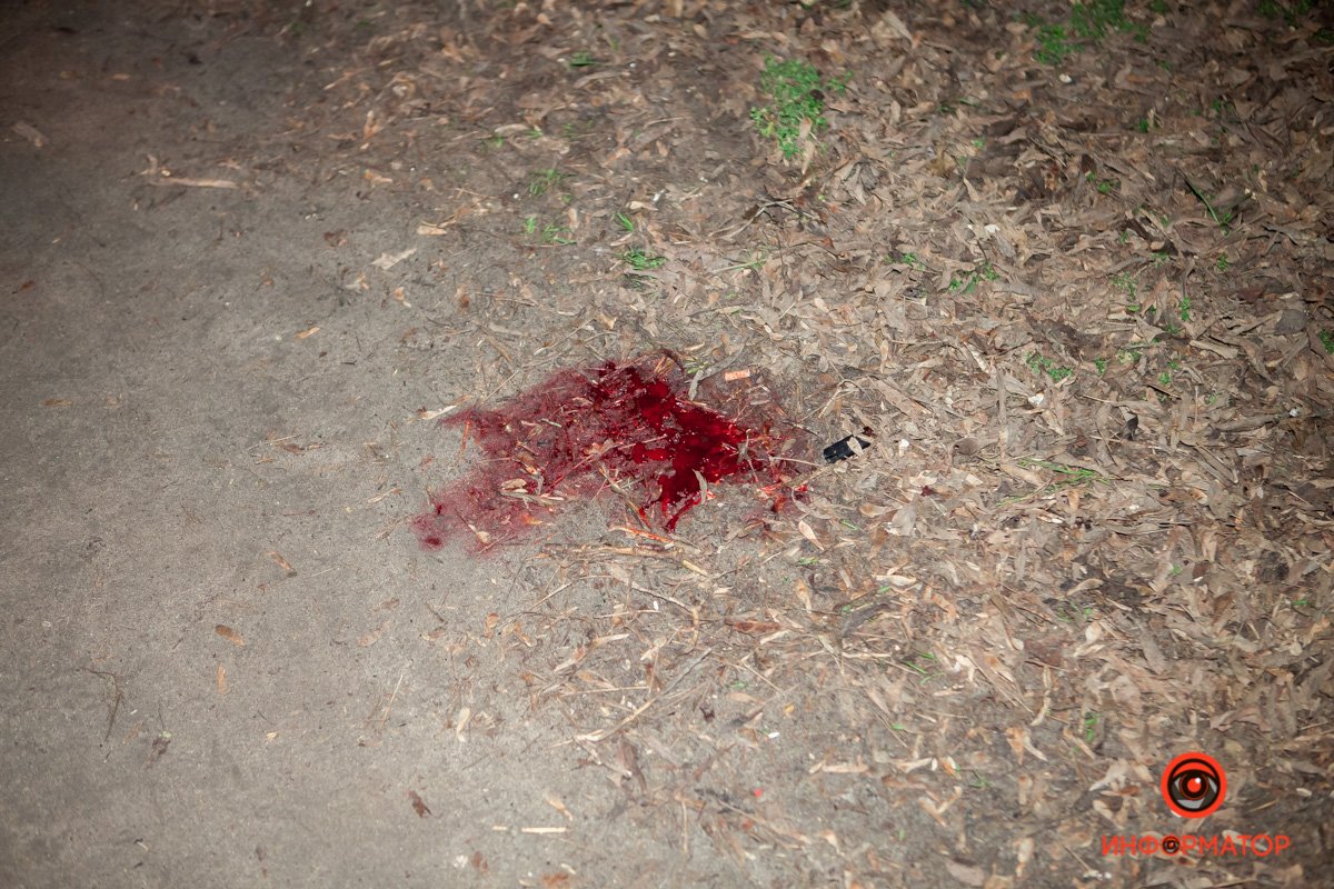 Девочка переходила дорогу в неположенном месте Девочка переходила дорогу в неположенном месте