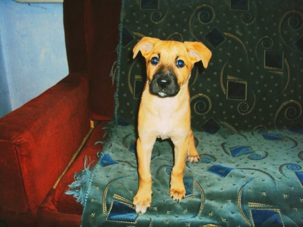 С ней вы сможете навсегда забыть, что такое депрессия