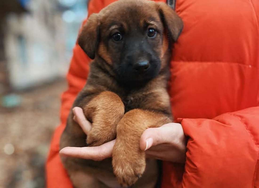 Быть такой милой - вообще законно?