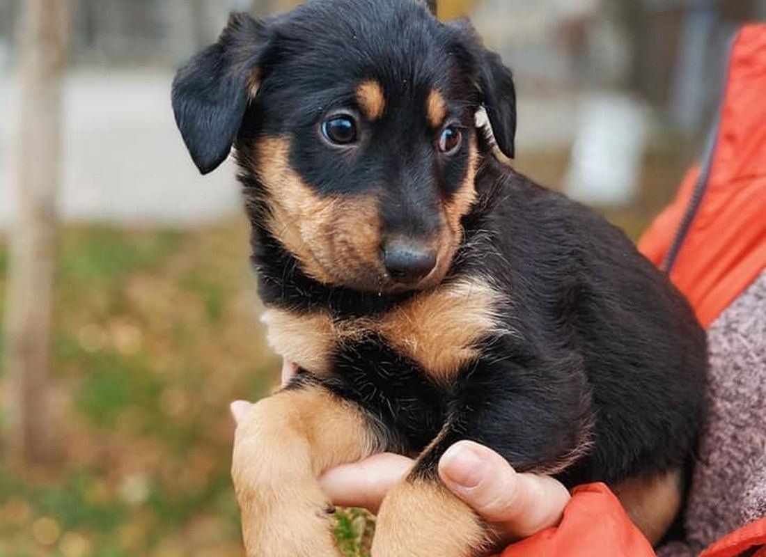 Милейшему карапузику всего два месяца